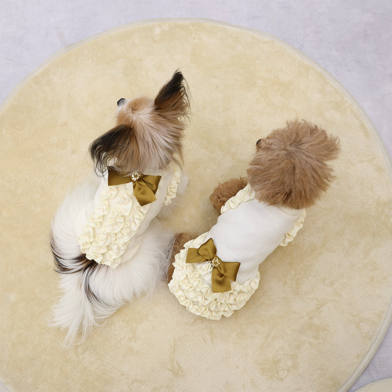 ミムット mimtto Julien ☆予約品☆【小型犬 犬服 トップス セレブ】