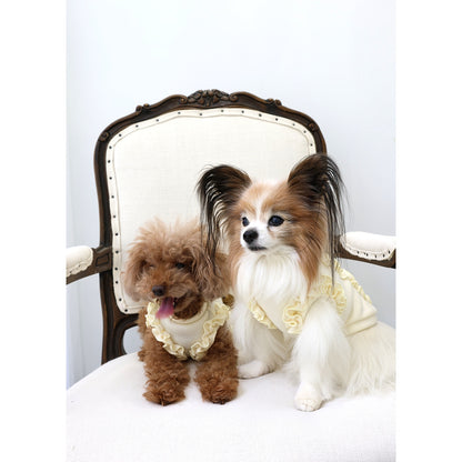 ミムット mimtto Julien ☆予約品☆【小型犬 犬服 トップス セレブ】