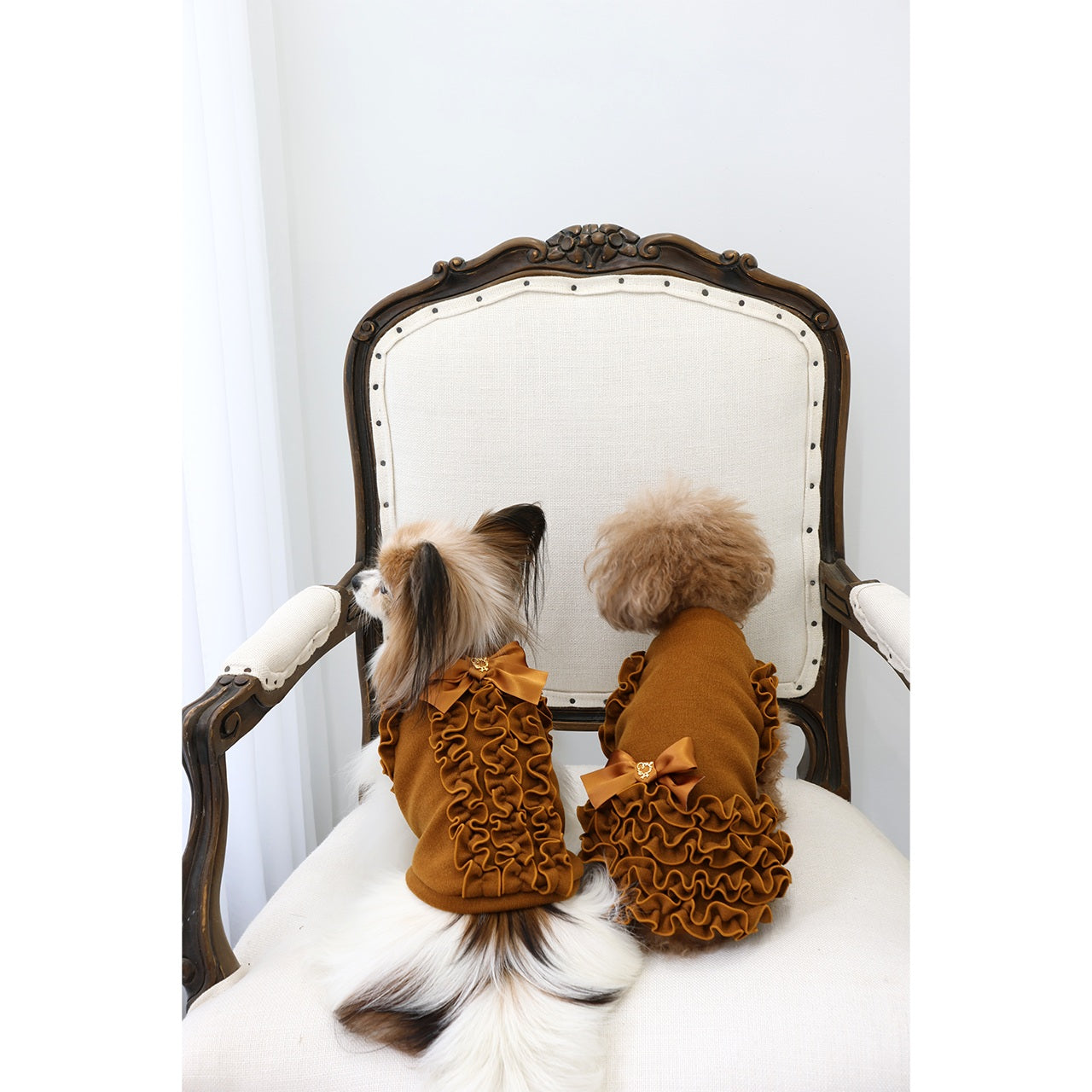 ミムット mimtto Julien ☆予約品☆【小型犬 犬服 トップス セレブ】
