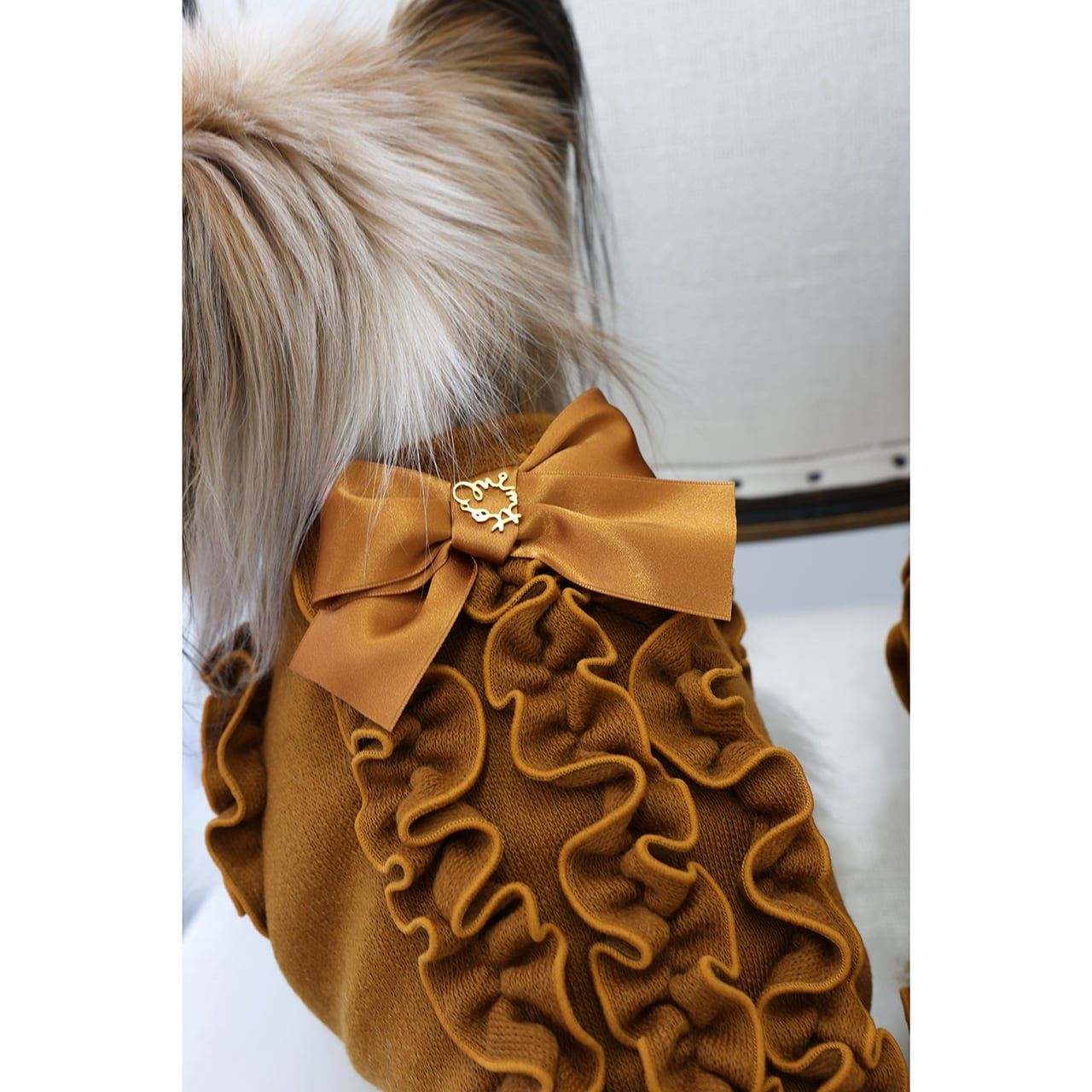 ミムット mimtto Julien ☆予約品☆【小型犬 犬服 トップス セレブ】
