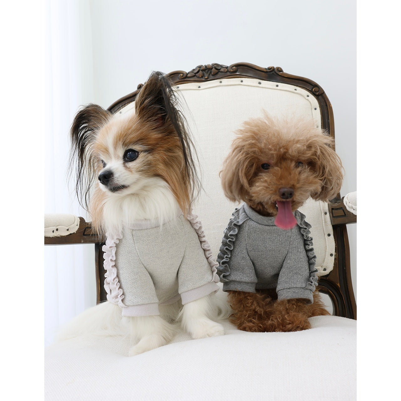 ミムット mimtto Shimmer Fleece Ruffle Tee ☆予約品☆【小型犬 犬服 トップス Tシャツ 半袖 セレブ】
