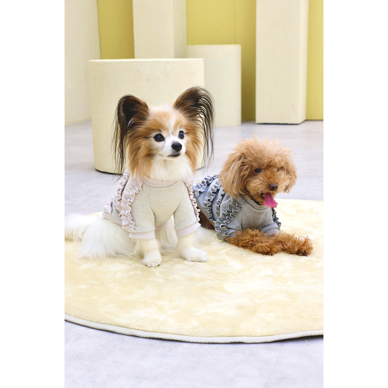 ミムット mimtto Shimmer Fleece Ruffle Tee ☆予約品☆【小型犬 犬服 トップス Tシャツ 半袖 セレブ】