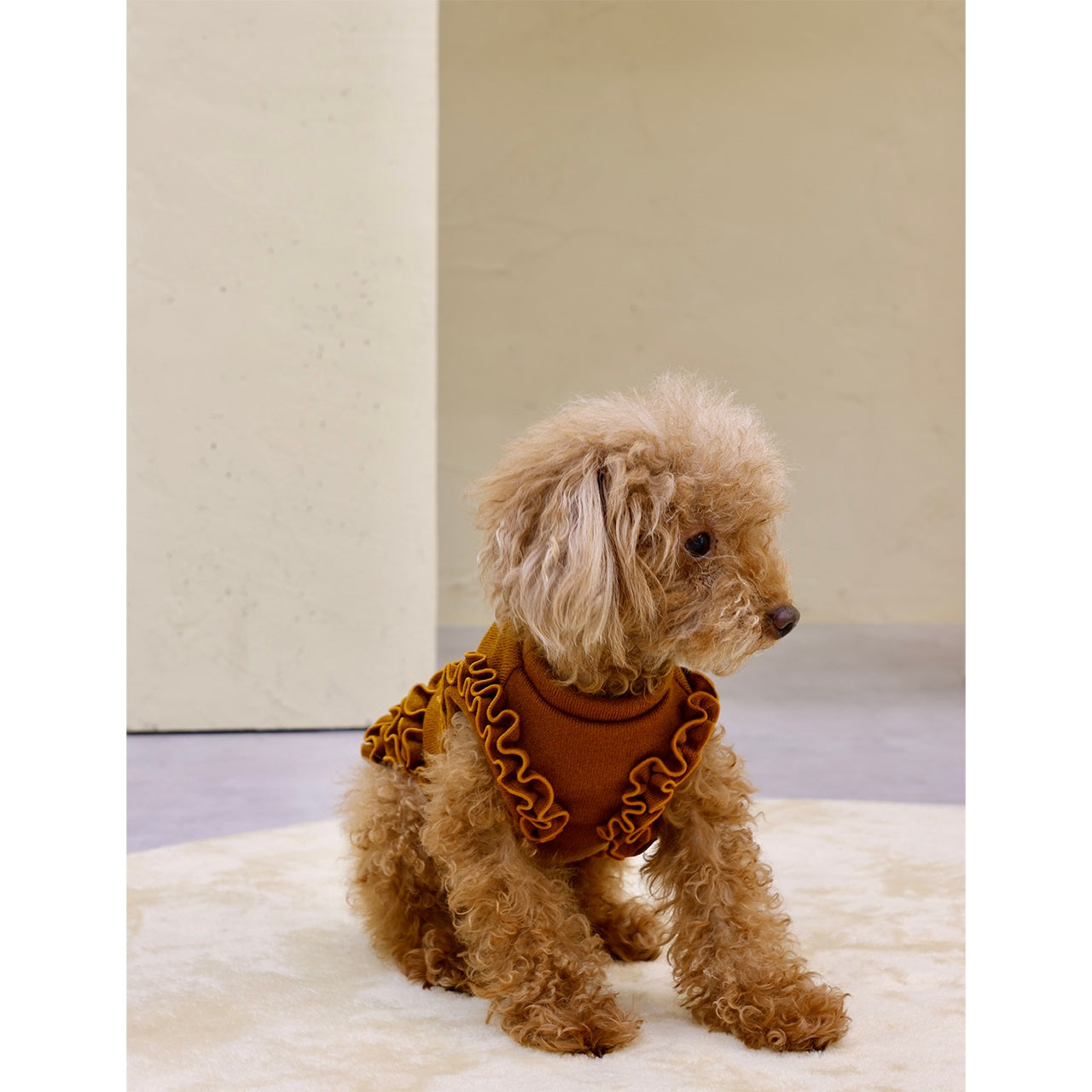 ミムット mimtto Chloe ☆予約品☆【小型犬 犬服 ドレス ワンピース スカート セレブ】
