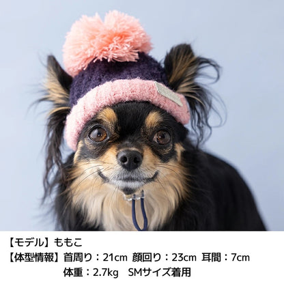 ディーズチャット D's CHAT バイカラーニット帽 ☆9月下旬順次発送☆【犬服 ドッグウェア ニット 帽子 セレブ】