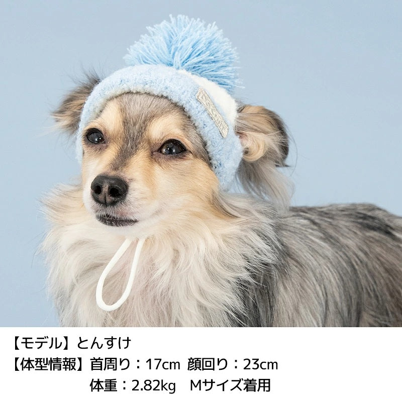 ディーズチャット D's CHAT バイカラーニット帽 ☆9月下旬順次発送☆【犬服 ドッグウェア ニット 帽子 セレブ】