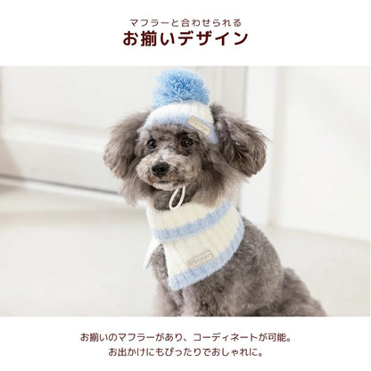 ディーズチャット D's CHAT バイカラーニット帽 ☆9月下旬順次発送☆【犬服 ドッグウェア ニット 帽子 セレブ】