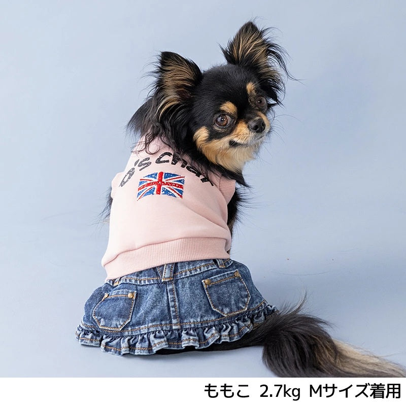 ディーズチャット D's CHAT イギリス刺しゅうワンピ ☆9月下旬順次発送☆【犬服 ドッグウェア ワンピース スカート ドレス セレブ】