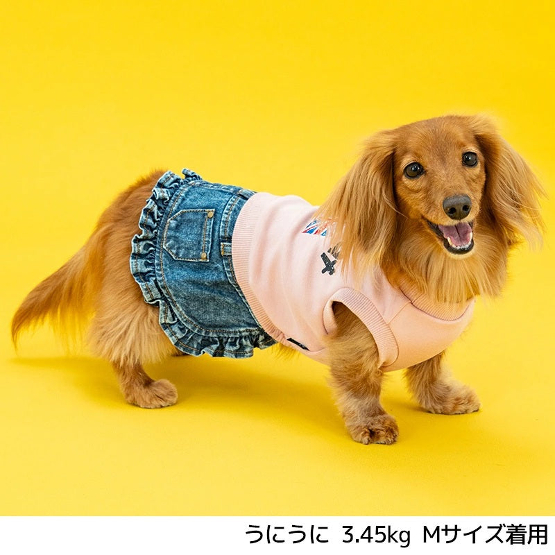 ディーズチャット D's CHAT イギリス刺しゅうワンピ ☆9月下旬順次発送☆【犬服 ドッグウェア ワンピース スカート ドレス セレブ】