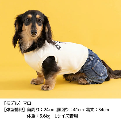 ディーズチャット D's CHAT イギリス刺しゅうワンピ ☆9月下旬順次発送☆【犬服 ドッグウェア ワンピース スカート ドレス セレブ】