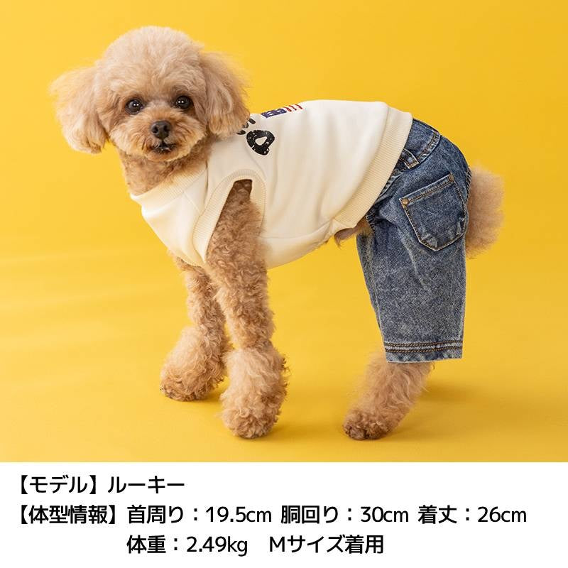 ディーズチャット D's CHAT イギリス刺しゅうワンピ ☆9月下旬順次発送☆【犬服 ドッグウェア ワンピース スカート ドレス セレブ】