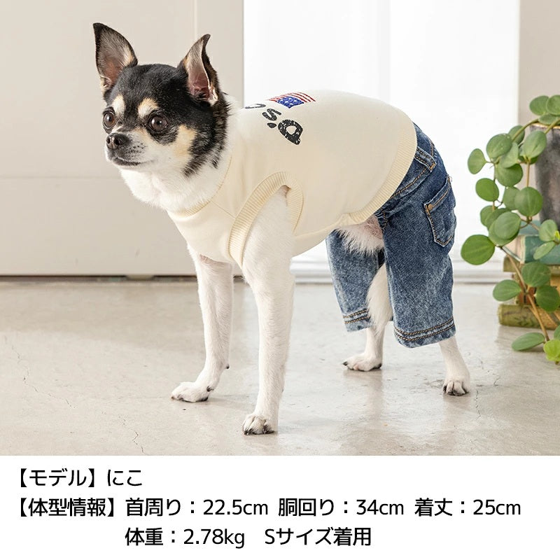 ディーズチャット D's CHAT イギリス刺しゅうワンピ ☆9月下旬順次発送☆【犬服 ドッグウェア ワンピース スカート ドレス セレブ】