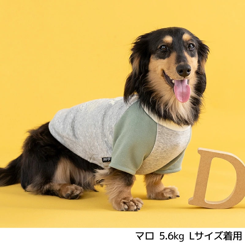 ディーズチャット D's CHAT ディーズ君ラグラントレーナー ☆9月下旬順次発送☆【犬服 ドッグウェア トップ ストレーナー スウェット セレブ】
