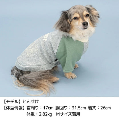 ディーズチャット D's CHAT ディーズ君ラグラントレーナー ☆9月下旬順次発送☆【犬服 ドッグウェア トップ ストレーナー スウェット セレブ】