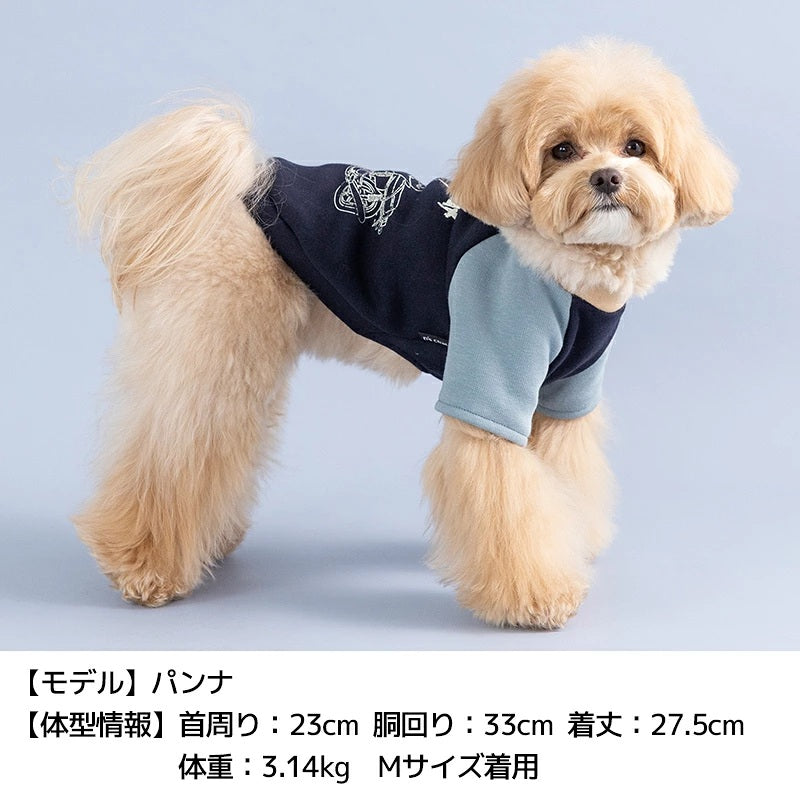 ディーズチャット D's CHAT ディーズ君ラグラントレーナー ☆9月下旬順次発送☆【犬服 ドッグウェア トップ ストレーナー スウェット セレブ】