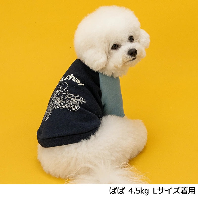 ディーズチャット D's CHAT ディーズ君ラグラントレーナー ☆9月下旬順次発送☆【犬服 ドッグウェア トップ ストレーナー スウェット セレブ】