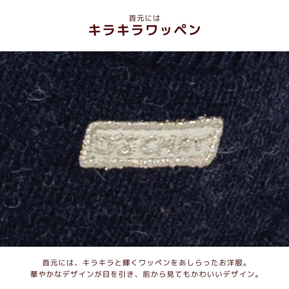 ディーズチャット D's CHAT 宇宙モチーフニット ☆9月下旬順次発送☆【犬服 ドッグウェア トップス ニット セーター セレブ】