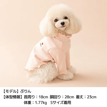 ティノティート TINOTITO ワンポイントメローTシャツ ☆9月下旬順次発送☆【小型犬 犬服 ドッグウェア トップス 長袖 Tシャツ カットソー】
