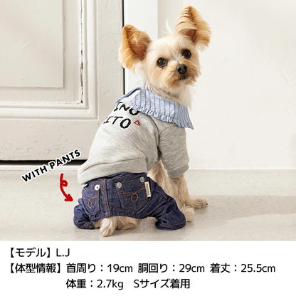 ティノティート TINOTITO ビッグカラートレーナー ☆9月下旬順次発送☆【小型犬 犬服 ドッグウェア トップス トレーナー スウェット】