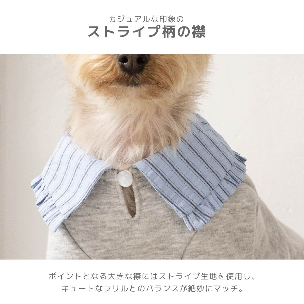 ティノティート TINOTITO ビッグカラートレーナー ☆9月下旬順次発送☆【小型犬 犬服 ドッグウェア トップス トレーナー スウェット】