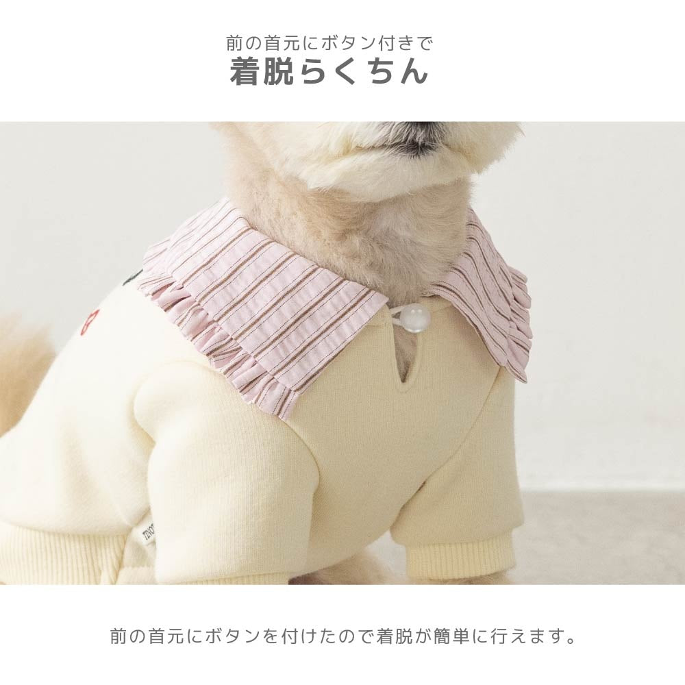 ティノティート TINOTITO ビッグカラートレーナー ☆9月下旬順次発送☆【小型犬 犬服 ドッグウェア トップス トレーナー スウェット】