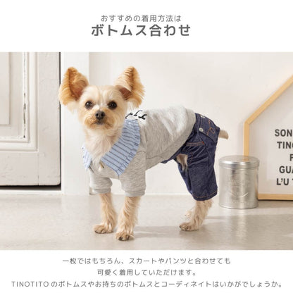ティノティート TINOTITO ビッグカラートレーナー ☆9月下旬順次発送☆【小型犬 犬服 ドッグウェア トップス トレーナー スウェット】