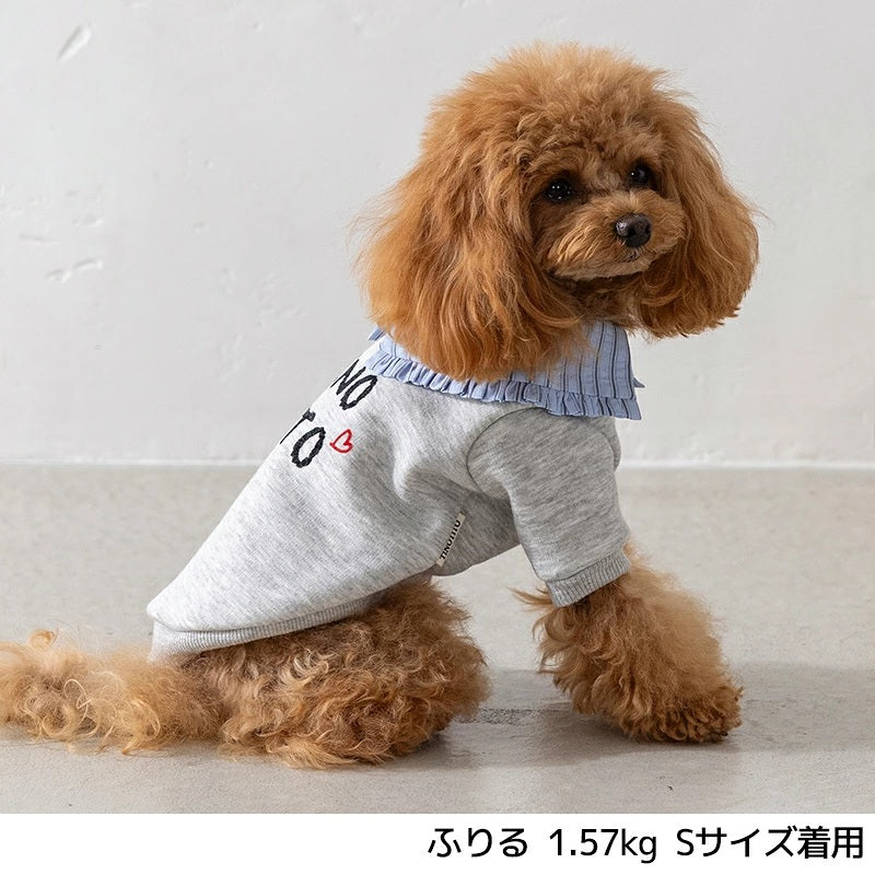 ティノティート TINOTITO ビッグカラートレーナー ☆9月下旬順次発送☆【小型犬 犬服 ドッグウェア トップス トレーナー スウェット】