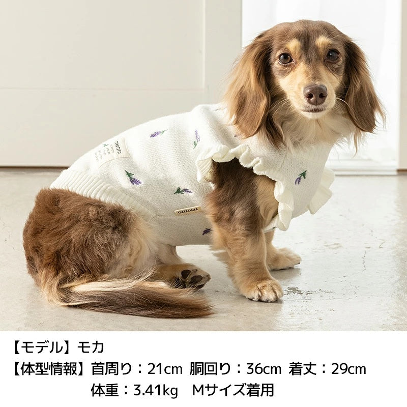 ティノティート TINOTITO ラベンダー袖フリルニット ☆9月下旬順次発送☆【小型犬 犬服 ドッグウェア トップス トレーナー スウェット】