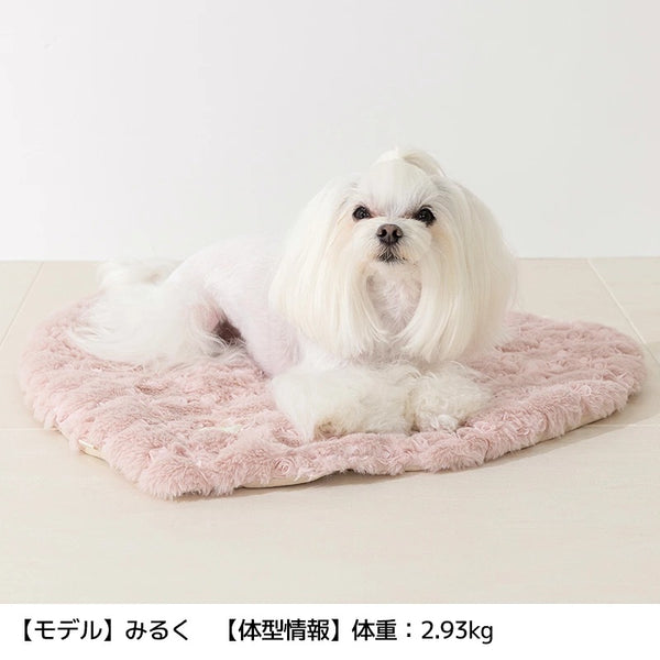 アントゥトゥ Un TouTou お花柄ロゴバッグ ☆9月下旬順次発送☆【小型犬 犬用 オーナー用 ママ用 バッグ トート お散歩 セレブ】