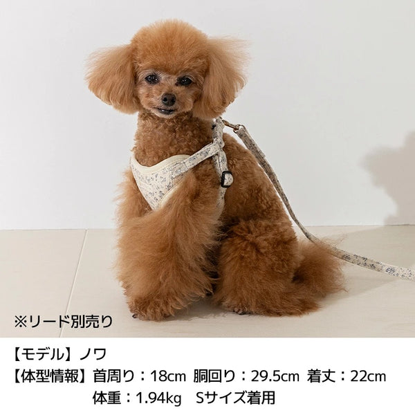 アントゥトゥ Un TouTou 花柄リード ☆9月下旬順次発送☆【小型犬 犬用 リード お散歩 セレブ】