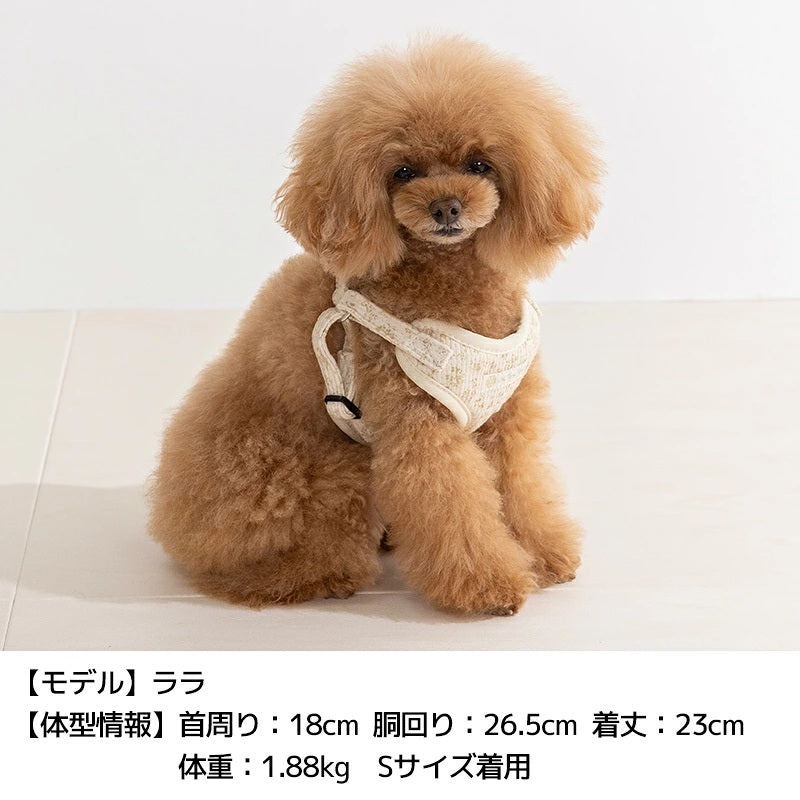アントゥトゥ Un TouTou 花柄リード ☆9月下旬順次発送☆【小型犬 犬用 リード お散歩 セレブ】