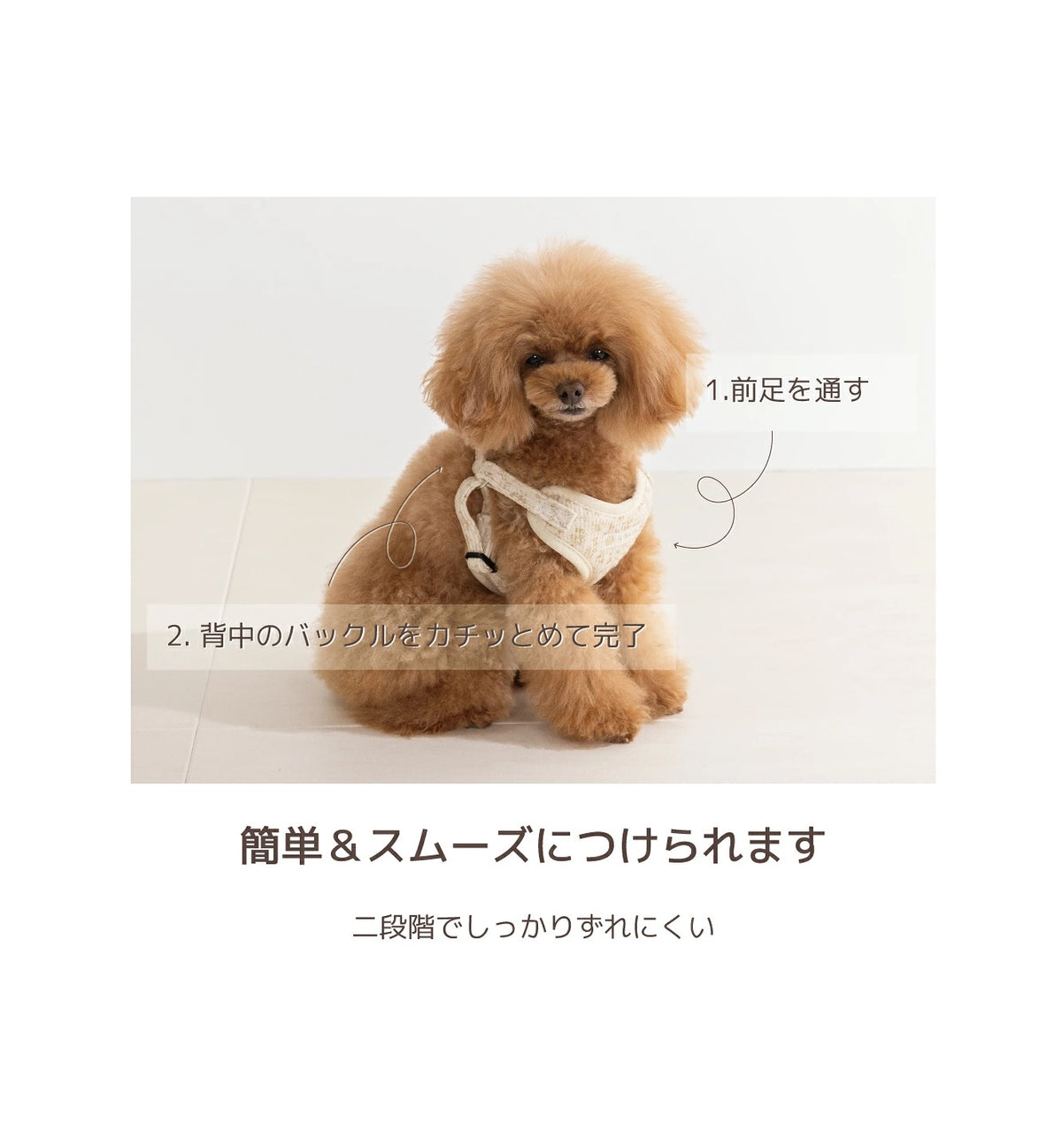 アントゥトゥ Un TouTou 花柄リード ☆9月下旬順次発送☆【小型犬 犬用 リード お散歩 セレブ】
