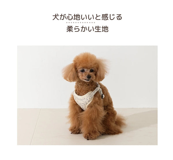 アントゥトゥ Un TouTou 花柄リード ☆9月下旬順次発送☆【小型犬 犬用 リード お散歩 セレブ】