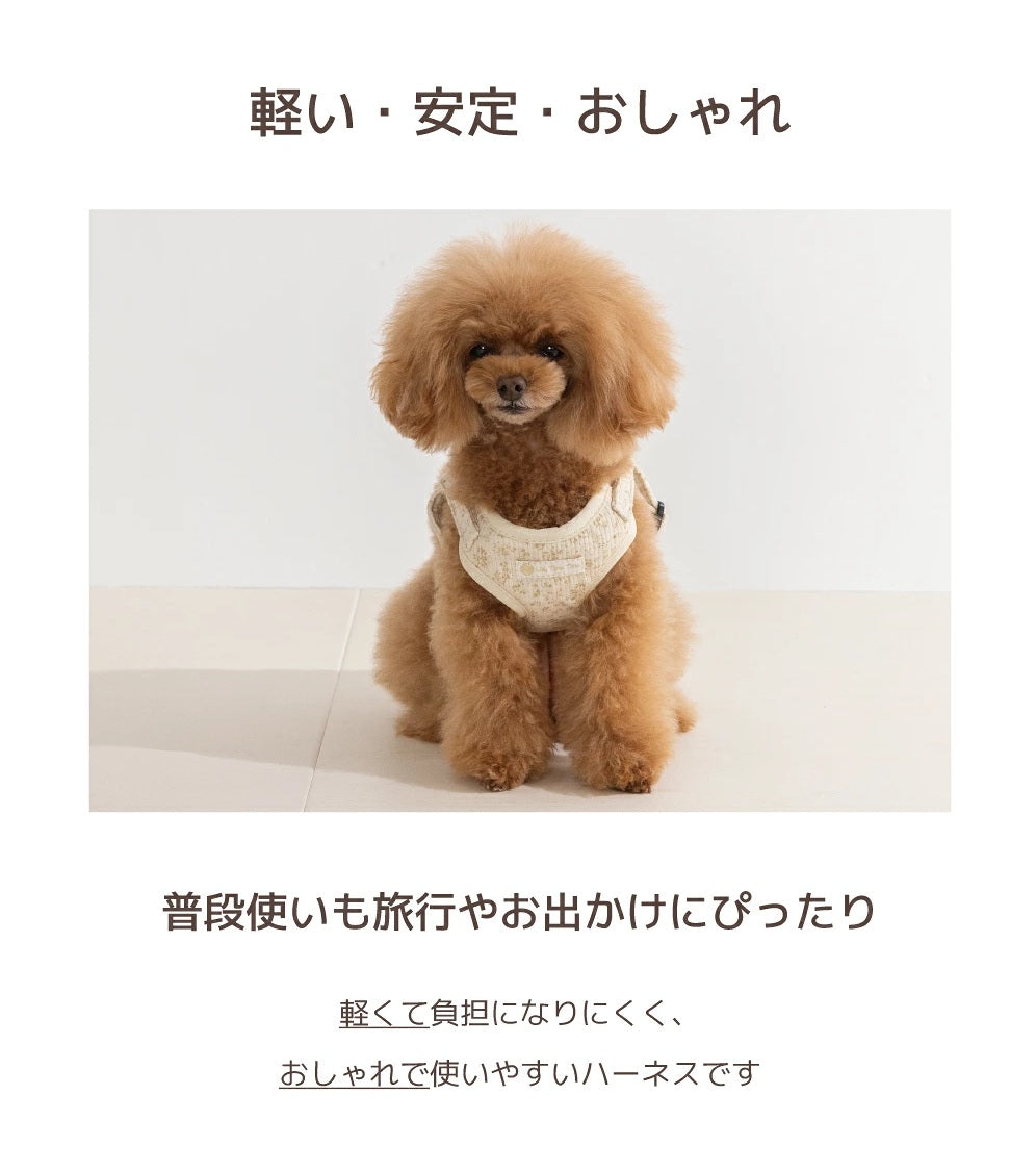 アントゥトゥ Un TouTou 花柄リード ☆9月下旬順次発送☆【小型犬 犬用 リード お散歩 セレブ】