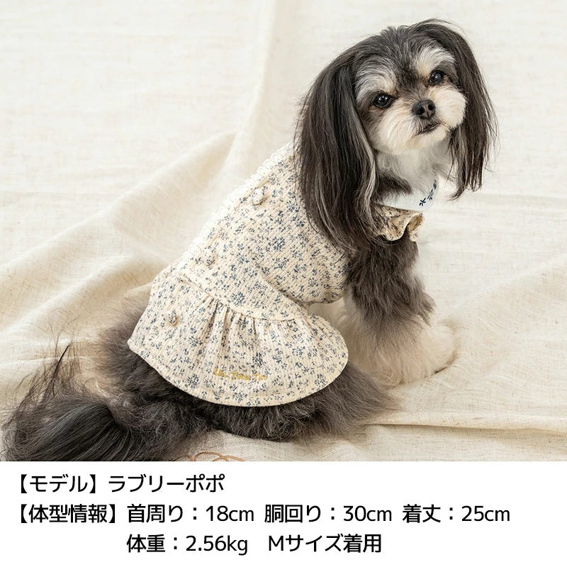 【最大3,000円OFFクーポン＋ポイント2倍】アントゥトゥ Un TouTou 小花柄刺しゅう襟ワンピ ☆9月下旬順次発送☆【小型犬 犬用 ドッグウエア ワンピース スカート ドレス セレブ】