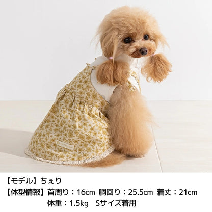 【最大3,000円OFFクーポン＋ポイント2倍】アントゥトゥ Un TouTou 小花アンサンブルワンピ ☆10月下旬順次発送☆【小型犬 犬用 ドッグウエア ワンピース スカート ドレス セレブ】