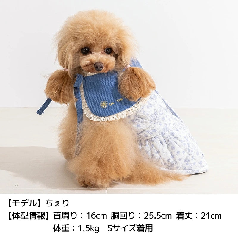 【最大3,000円OFFクーポン＋ポイント2倍】アントゥトゥ Un TouTou ティペット付きワンピ ☆10月下旬順次発送☆【小型犬 犬用 ドッグウエア ワンピース スカート ドレス セレブ】