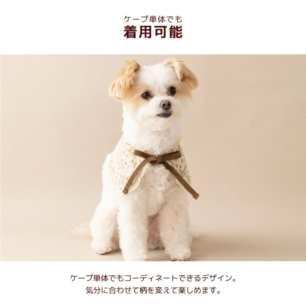 【最大3,000円OFFクーポン＋ポイント2倍】アントゥトゥ Un TouTou ティペット付きワンピ ☆10月下旬順次発送☆【小型犬 犬用 ドッグウエア ワンピース スカート ドレス セレブ】