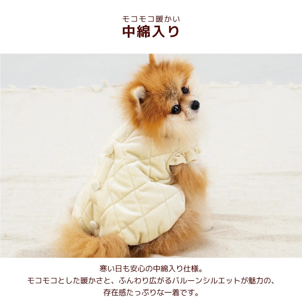 アントゥトゥ Un TouTou ベロアキルティングアウター ☆10月下旬順次発送☆【小型犬 犬用 ドッグウエア アウター コート セレブ】