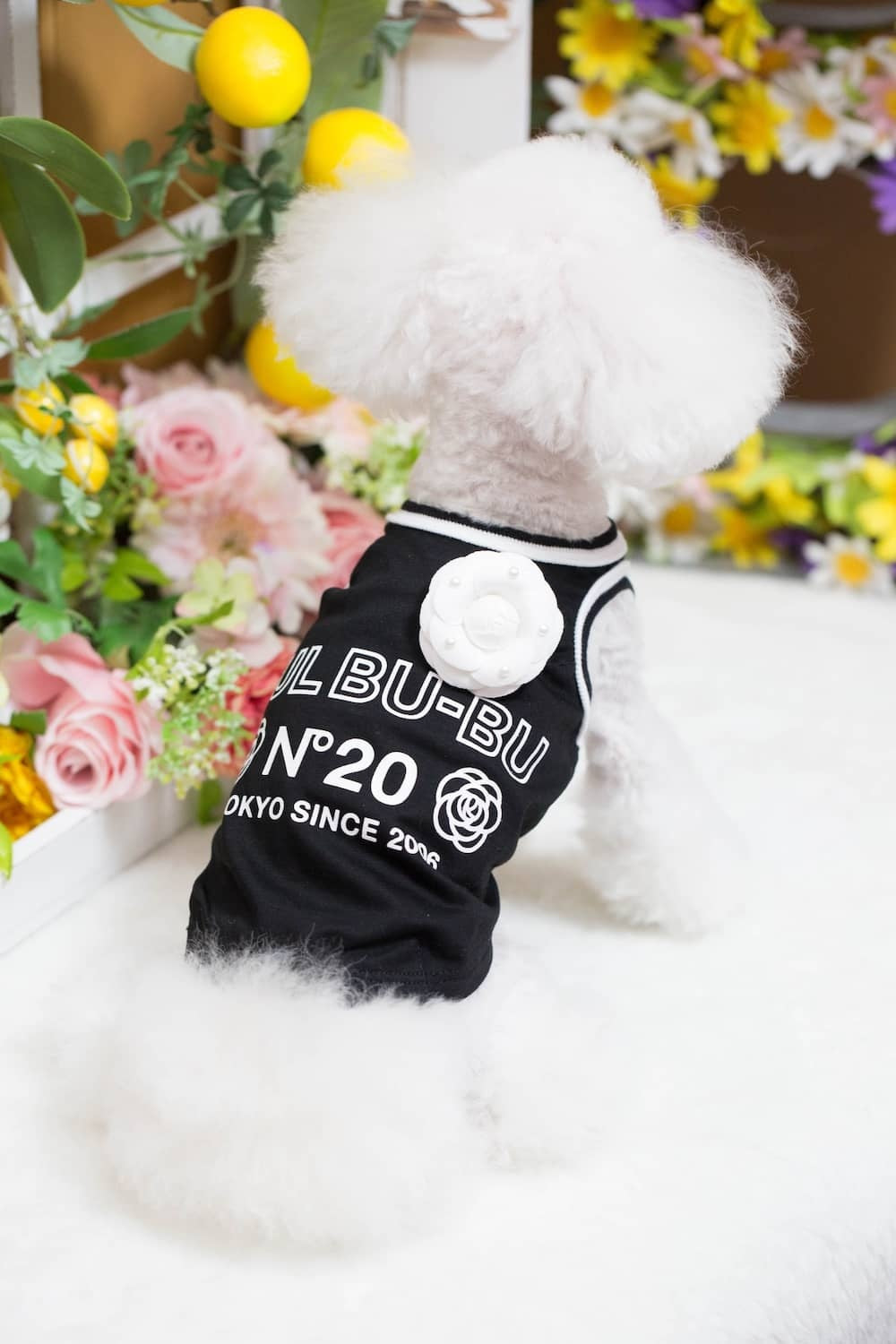 ブルブブ BUL BU-BU COOL 20th Anniversary T/K【小型犬 犬服 トップス タンクトップ ノースリーブ セレブ】