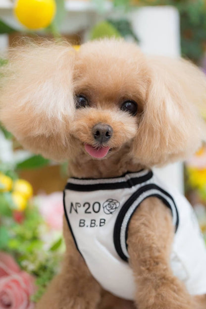 ブルブブ BUL BU-BU COOL 20th Anniversary T/K【小型犬 犬服 トップス タンクトップ ノースリーブ セレブ】