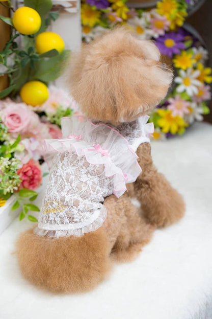 ブルブブ BUL BU-BU フリル付きレーシーキャミ【小型犬 犬服 トップス キャミソール ノースリーブ セレブ】