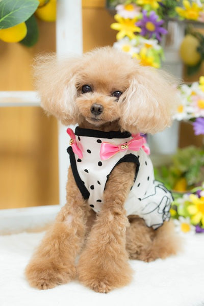 ブルブブ BUL BU-BU ドットキャミ【小型犬 犬服 ドッグウエア トップス キャミソール ノースリーブ セレブ】