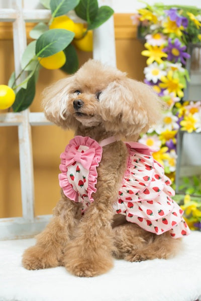 ブルブブ BUL BU-BU いちごティアードベアO/P【小型犬 犬服 ドッグウエア ワンピース スカート ドレス セレブ】