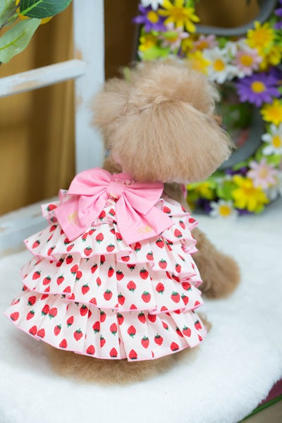ブルブブ BUL BU-BU いちごティアードベアO/P【小型犬 犬服 ドッグウエア ワンピース スカート ドレス セレブ】