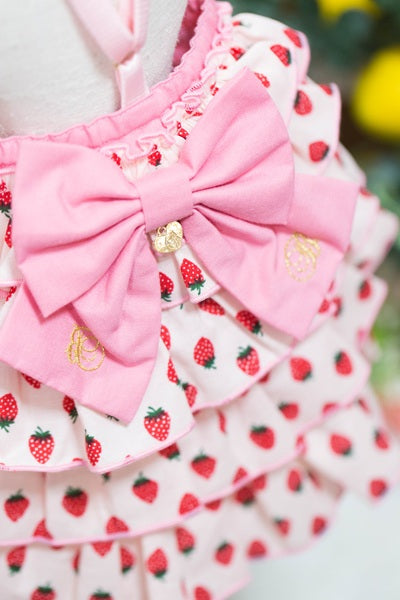 ブルブブ BUL BU-BU いちごティアードベアO/P【小型犬 犬服 ドッグウエア ワンピース スカート ドレス セレブ】