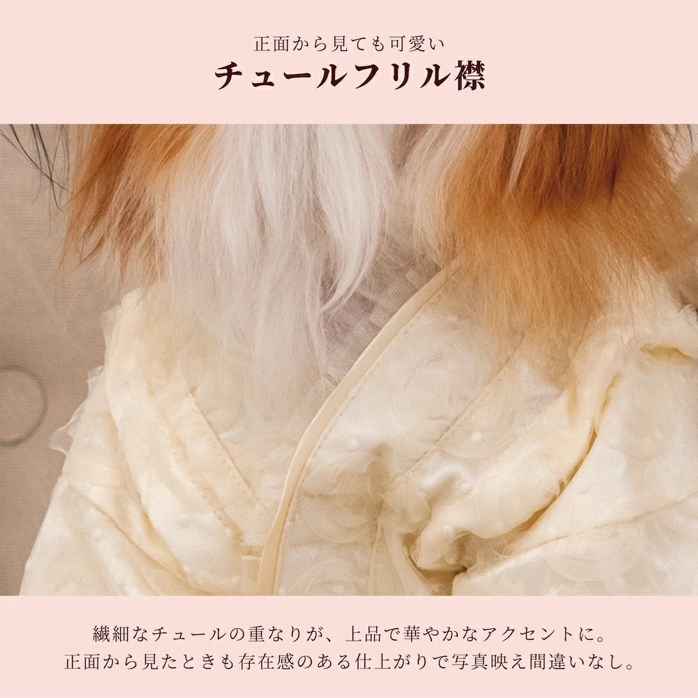 クレイジーブー CRAZYBOO 花模様着物 ☆10月下旬順次発送☆【小型犬 犬服 ドッグウエア 着物 和服 セレブ】
