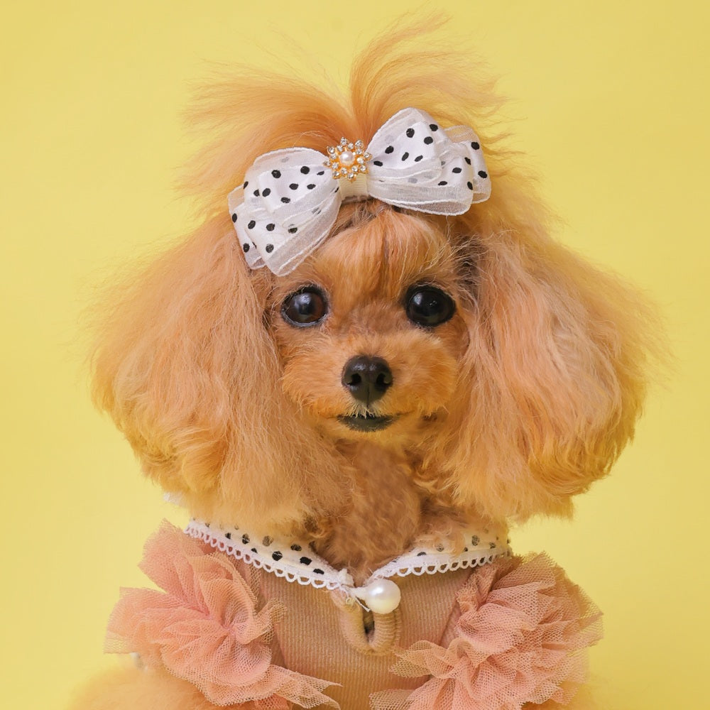 ゴッドピヴァ GODPIVA ☆ご予約☆ ドットオーガンジーバレッタ【小型犬用 犬用 ヘアアクセサリー ヘアアクセ バレッタ リボン セレブ】