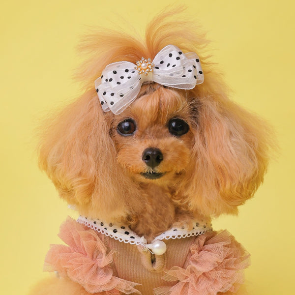 ゴッドピヴァ GODPIVA ☆ご予約☆ ドットオーガンジーバレッタ【小型犬用 犬用 ヘアアクセサリー ヘアアクセ バレッタ リボン セレブ】