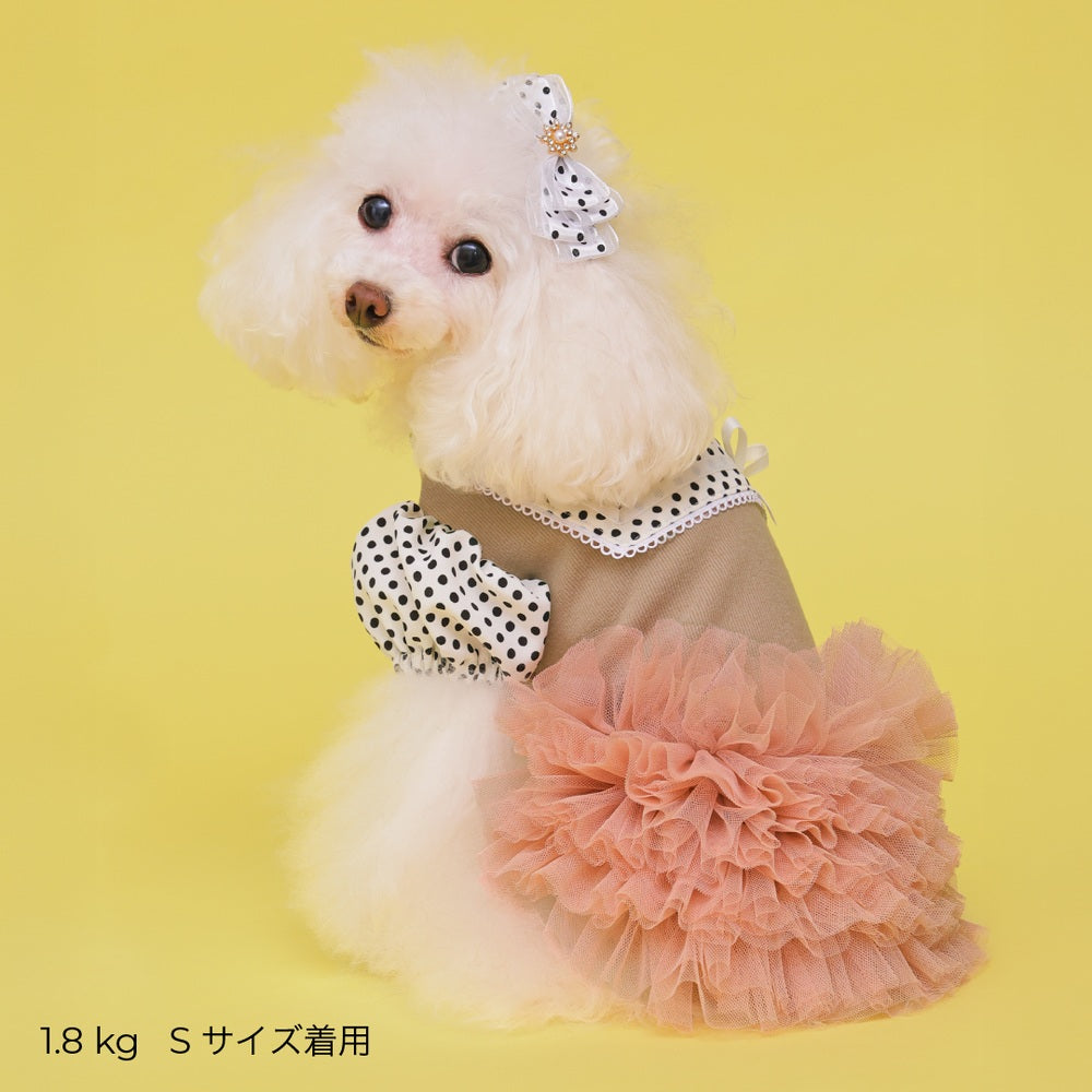 ゴッドピヴァ GODPIVA ロイヤルドットワンピース【小型犬用 犬用 ドッグウエア トップス ワンピース スカート ドレス セレブ】