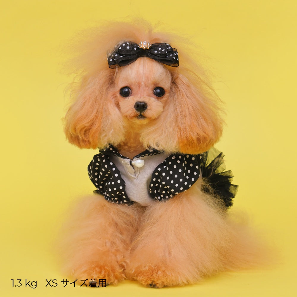 ゴッドピヴァ GODPIVA ロイヤルドットワンピース【小型犬用 犬用 ドッグウエア トップス ワンピース スカート ドレス セレブ】